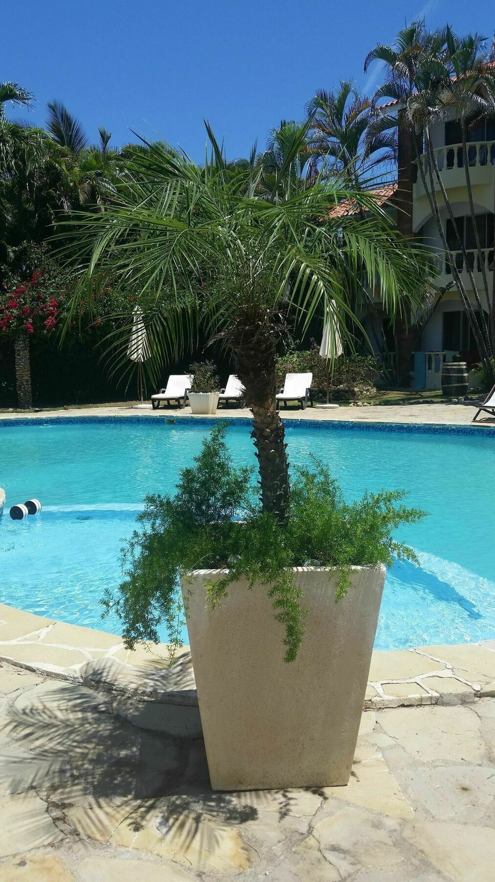 Hotel Voramar Sosúa Zewnętrze zdjęcie